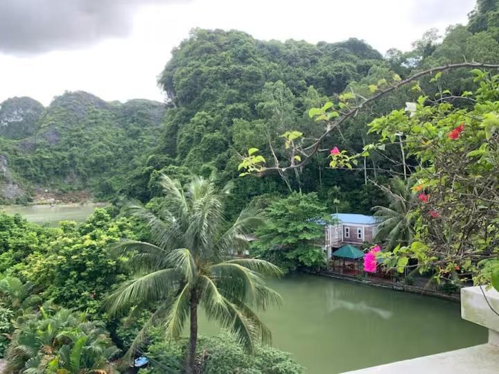 Catba Backpackers Hostel & Pool Bar Chan Chau Ruang foto